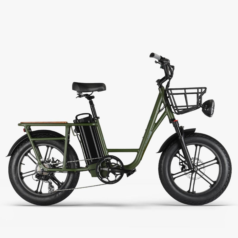 Fiido T1 Utility Electric Bike - Fiido