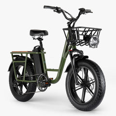 Fiido T1 Utility Electric Bike