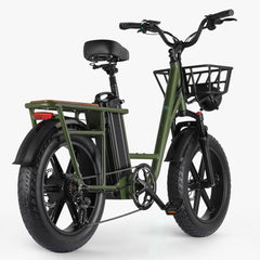 Fiido T1 Utility Electric Bike