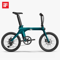 Fiido X Folding Electric Bike