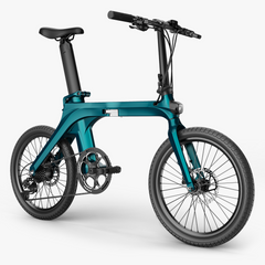 Fiido X Folding Electric Bike