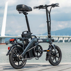 Fiido L3 Long Range Electric Bike