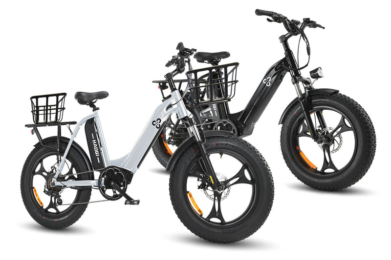 Buy 2 Get $100 Off - Antelope™ Ebike with Dual Battery