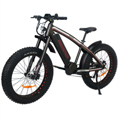 Wildtan M-5600 Mid-Drive E-Bike