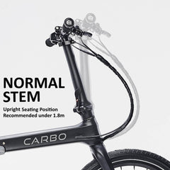 Customize your CARBO Bike