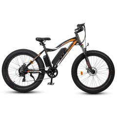 ECOTRIC ROCKET, Fat Tire Beach/Snow 500 Watt, 36V- ROC26S900