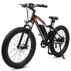 ECOTRIC ROCKET, Fat Tire Beach/Snow 500 Watt, 36V- ROC26S900