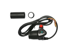 ebike throttle