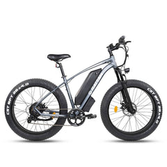 Rattan Pathfinder 750W 48V/13Ah Fat Tire Electric Bike