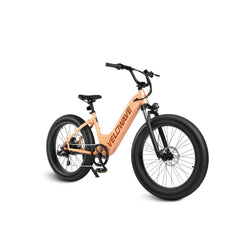ROVER STEP THRU EBIKE