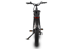 Pioneer Fat Tire Electric Bike for Dashers