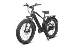 Pioneer Fat Tire Electric Bike for Dashers