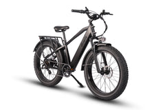 Pioneer Fat Tire Electric Bike for Dashers