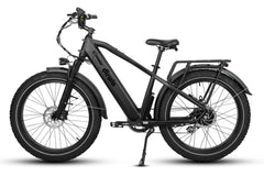 Pioneer Fat Tire Electric Bike for Dashers