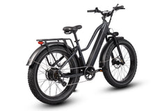 Dirwin Pioneer Step-thru Fat Tire Electric Bike