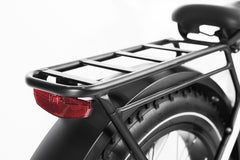 Seeker Step-thru Fat Tire Electric Bike