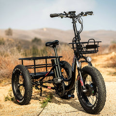 AddMotor 750W MOTAN M-330 P7 20" Step-Thru Fat Trike Electric Bike