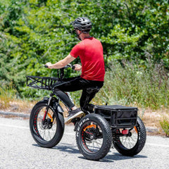 AddMotor 750W 2020 MOTAN M-350 P7 Fat Tires 750 Watt Motor Electric Tricycle