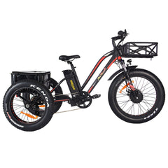 AddMotor 750W 2020 MOTAN M-350 P7 Fat Tires 750 Watt Motor Electric Tricycle