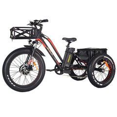 AddMotor 750W 2020 MOTAN M-350 P7 Fat Tires 750 Watt Motor Electric Tricycle