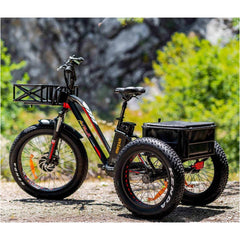 AddMotor 750W 2020 MOTAN M-350 P7 Fat Tires 750 Watt Motor Electric Tricycle