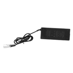 Electric Bike Charger 36V