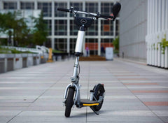 Glion Balto X2 Electric Scooter