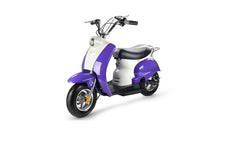 MotoTec 24v Electric Moped