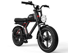 G-FORCE ZM Fat Tire Electric Bike