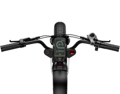 G-FORCE ZM Fat Tire Electric Bike