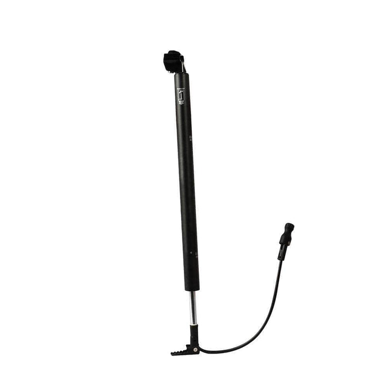 Fiido Bike Pump Seatpost