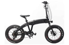 Electric Folding Bike