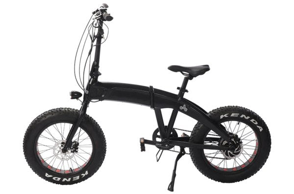 Electric Folding Bike