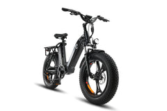 HAOQI® Antelope™ Cargo Electric Bike with Dual Battery