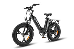 HAOQI® Antelope™ Cargo Electric Bike with Dual Battery