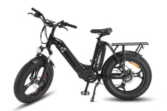 HAOQI® Antelope™ Cargo Electric Bike with Dual Battery