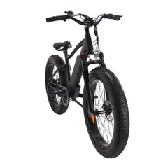 GlareWheel EB-PR PRO Fat Tire 750W Electric Mountain Bicycle