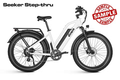 Sample & Dirwin E-bikes